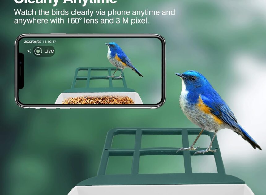 A New Way to Connect with Nature: Exploring the World of Smart Bird Feeders