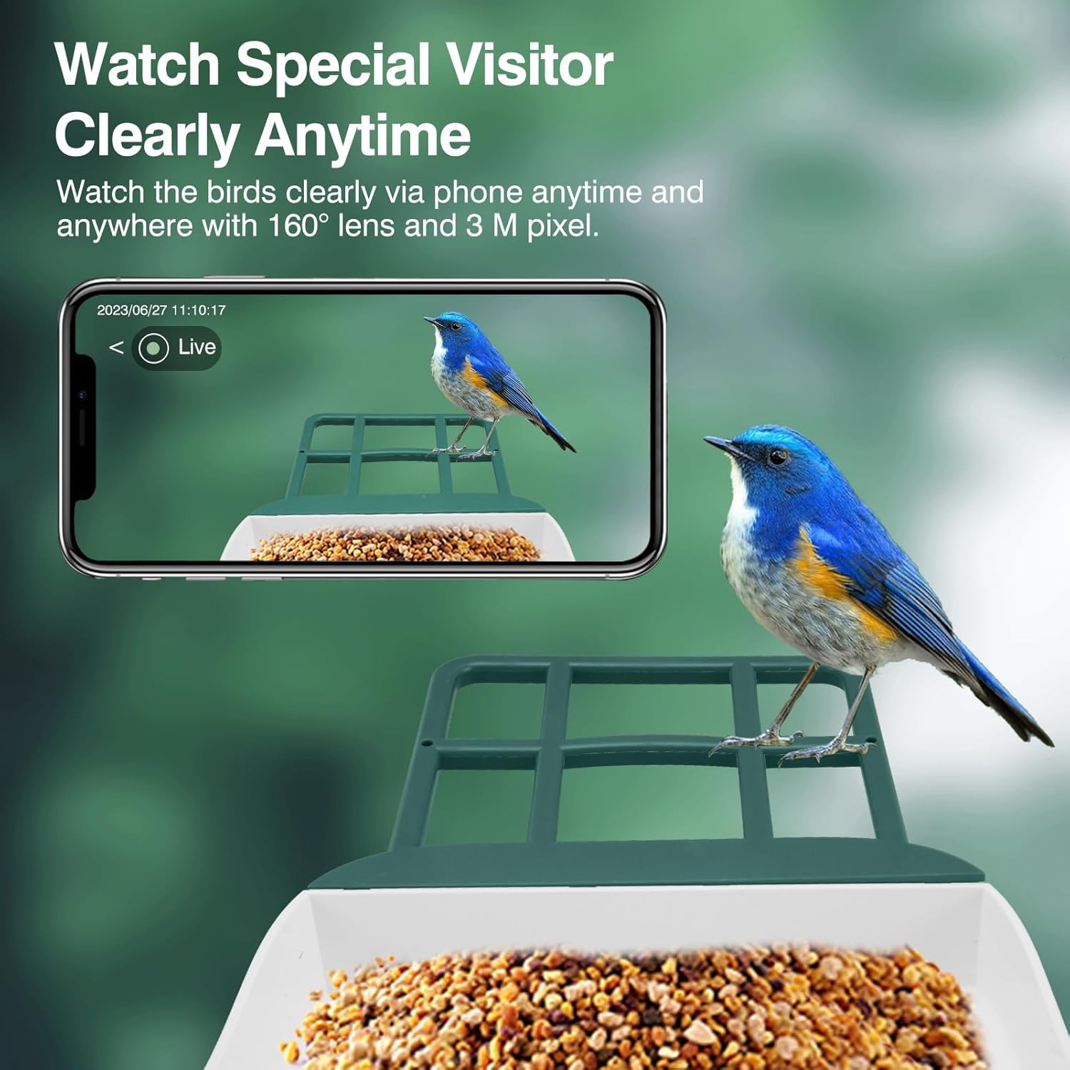 A New Way to Connect with Nature: Exploring the World of Smart Bird Feeders